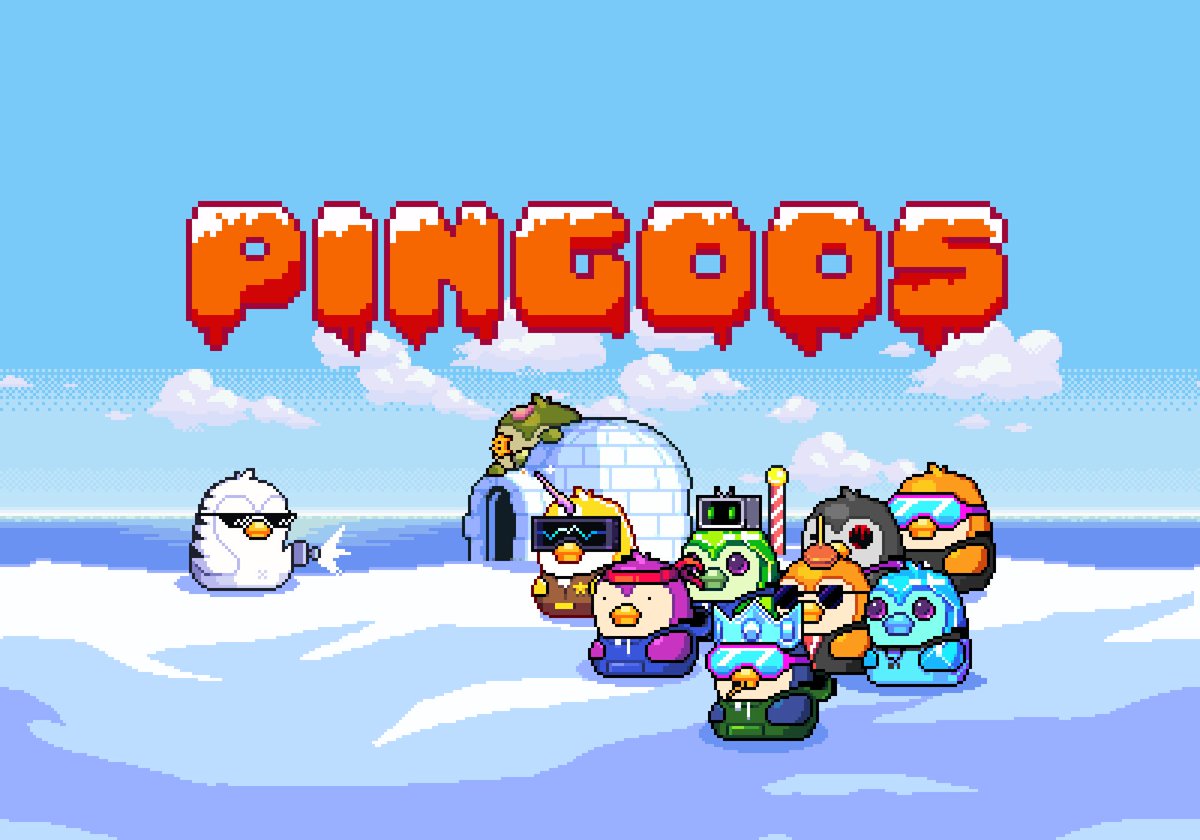 Pingoos tweet media