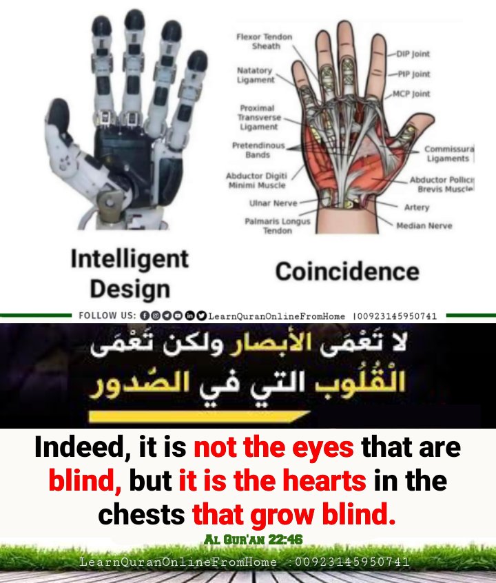 𝗔𝗟𝗟𝗔𝗛 ﷻ says:-

Indeed, it is not the eyes that are blind, but it is the hearts in the chests that grow blind.

Qur'an 22:46