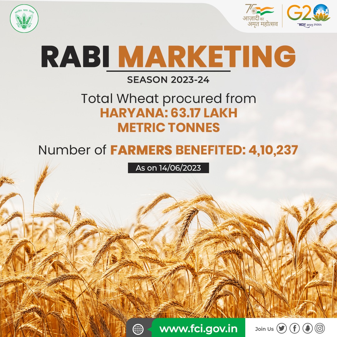 FCI along with State Agencies procured 63.17 Lakh MT Wheat from #Haryana during RMS 2023-24 from 4,10,237 farmers and money has been directly credited into their bank accounts. #Procurement #RabiMarketingSeason