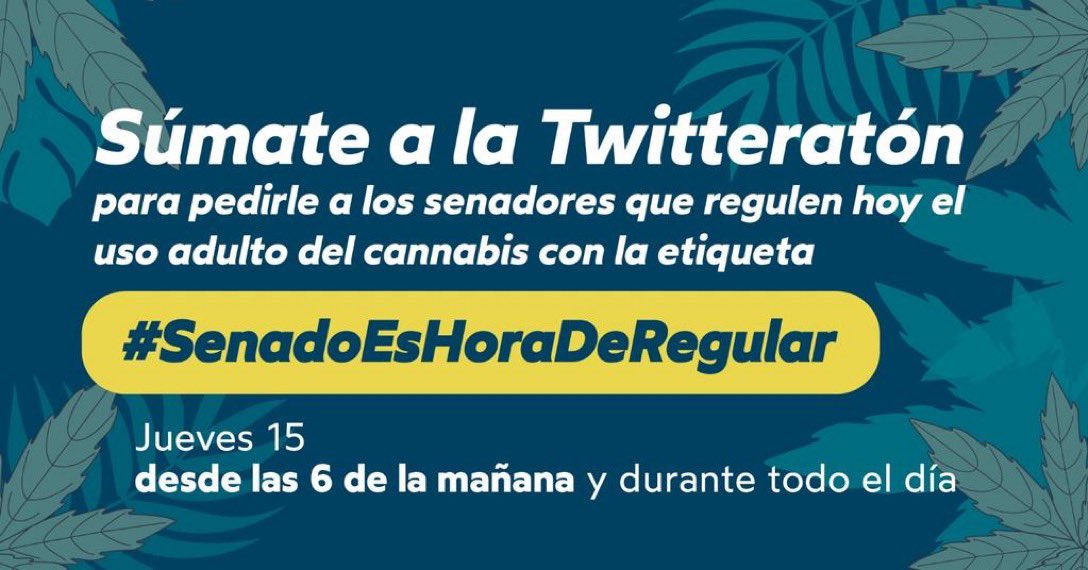 Queridos senadores, pilas pues: #SenadoEsHoraDeRegular