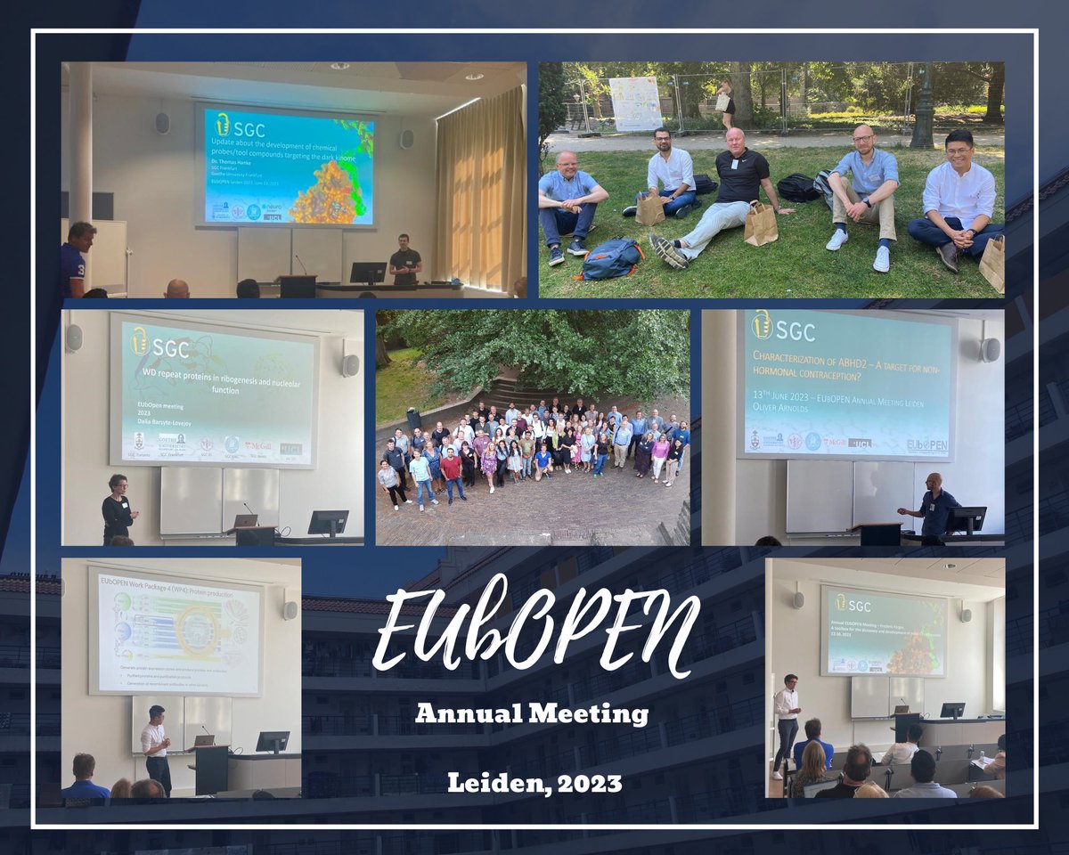 The 2nd @EUbOPEN annual meeting was successfully held earlier this week. Among affiliated partners, SGC showcased a strong presence, by sharing updates on our progress toward the consortium's goal of generating chemical modulators for the entire druggable proteome.