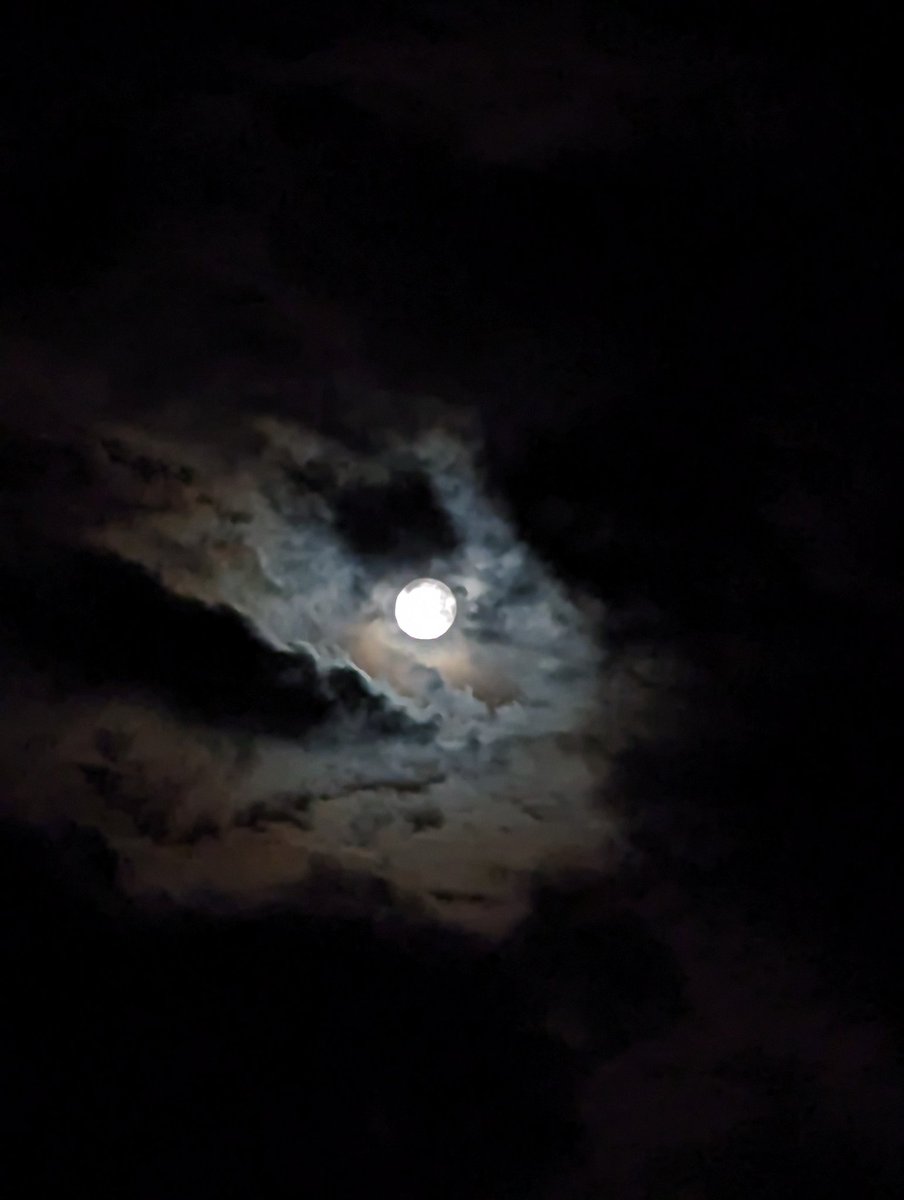 恐竜の頭・・的な月夜の雲#自然光を味方にできた時の写真が見たい