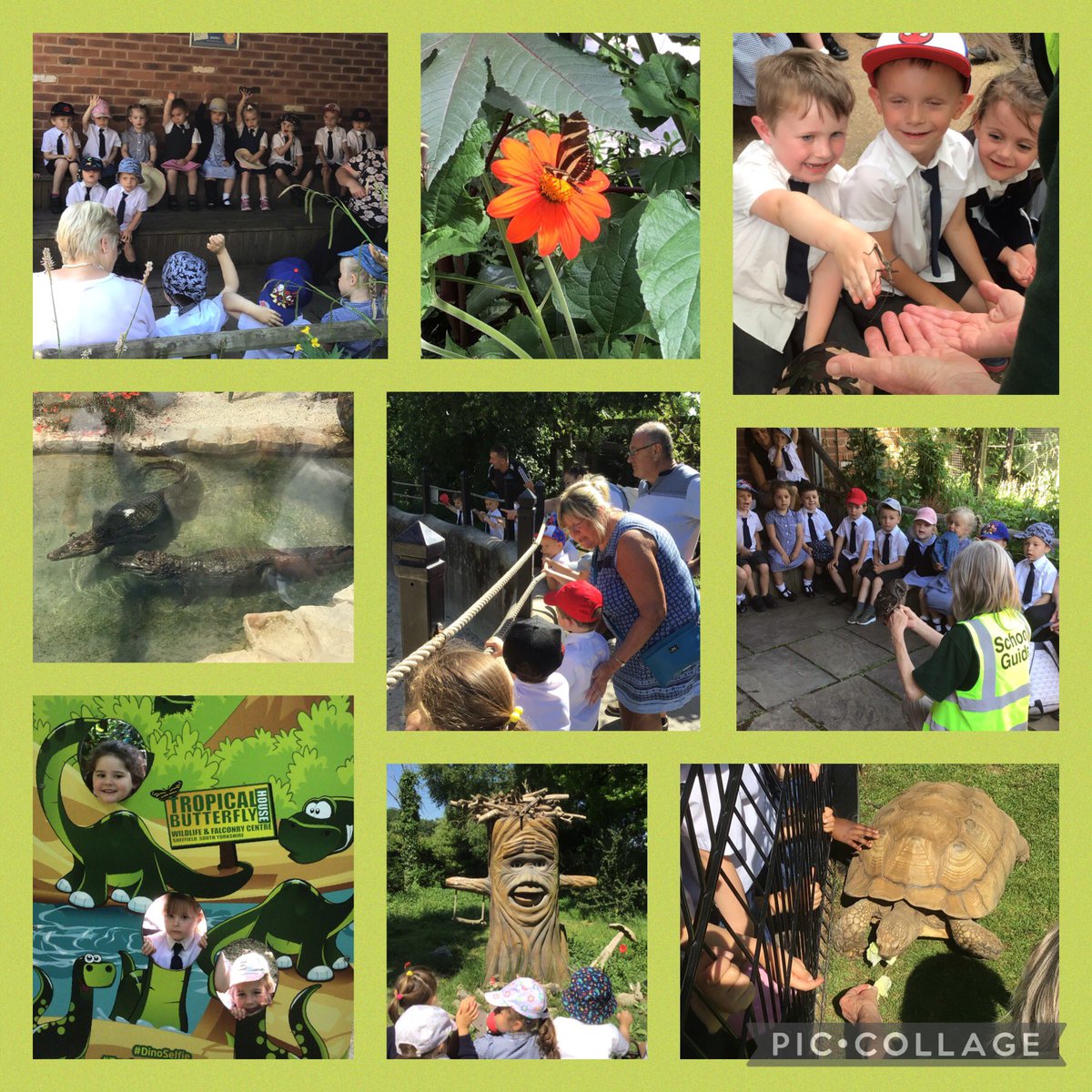 #CuriousCreators @stjohnsworksop have enjoyed a wonderful day out at @TropButterfly today! 🦋 We took part in two workshops and held some amazing creatures! 🦎🐹🦉🦗