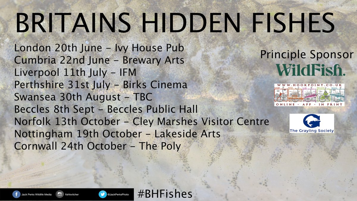 Jack Perks tweet media