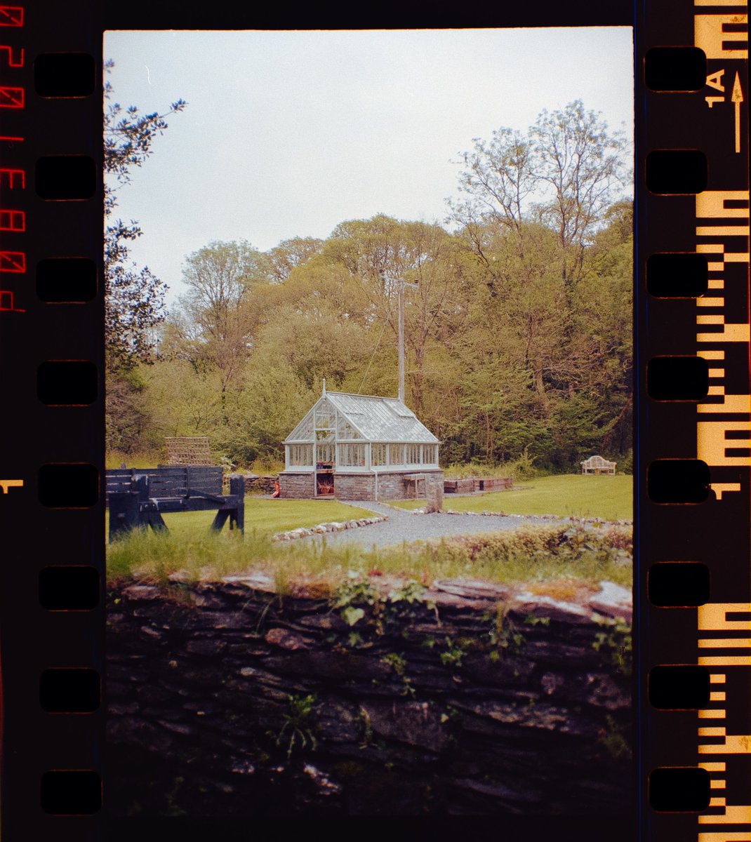 the pink house and the greenhouse

📸 #olympusmjuii
🎞️ #kodakgold200
.
.
.
#kodakprofessional #kodakgold200 #35mmfilm #filmisnotdead #filmwave #filmcommunity #shotonfilm #shootfilm #filmphotographer #thefilmcommunity #analogphotogrraphy #filmphotography #negativeleabpro