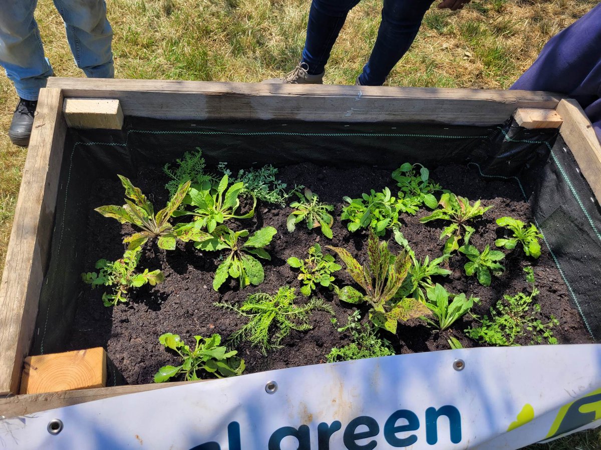 Building another planter today with #LockleazeGreenGym to brighten up Stanfield close with wildflowers, thanks team!
