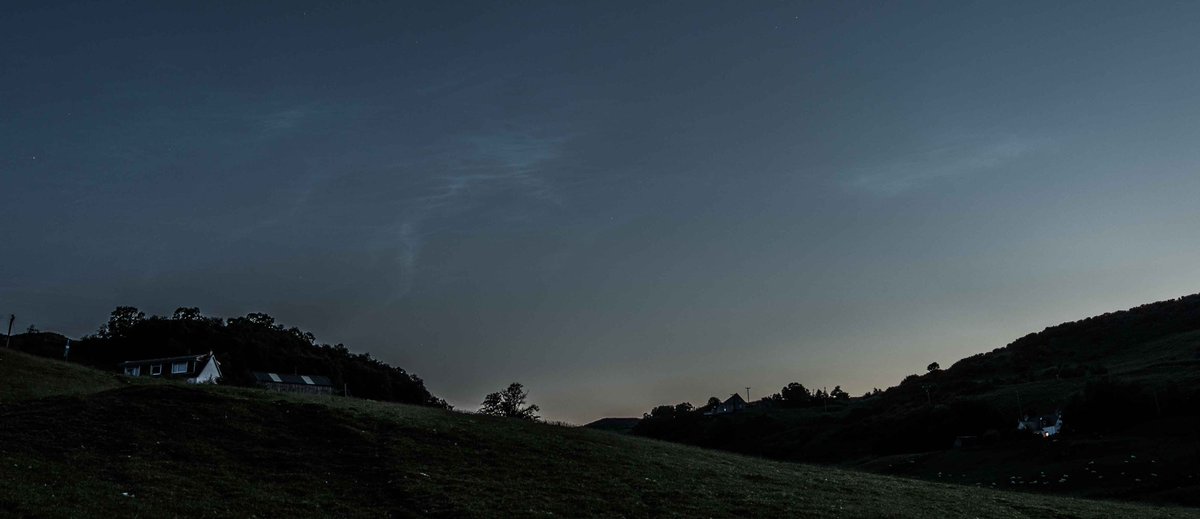 Cogie's Aurora's tweet media