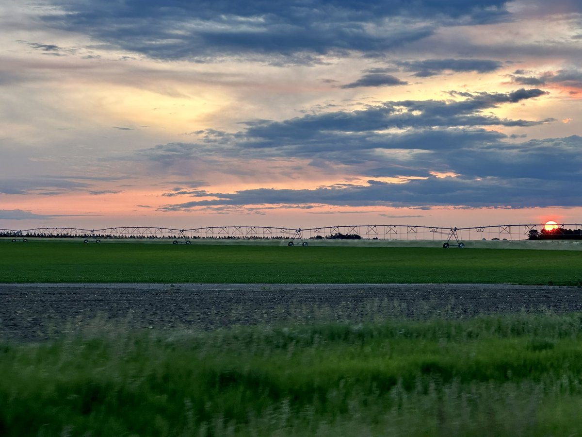 AdamLBray's tweet image. Beautiful sunrise even though it is a corn field and not a wheat field….