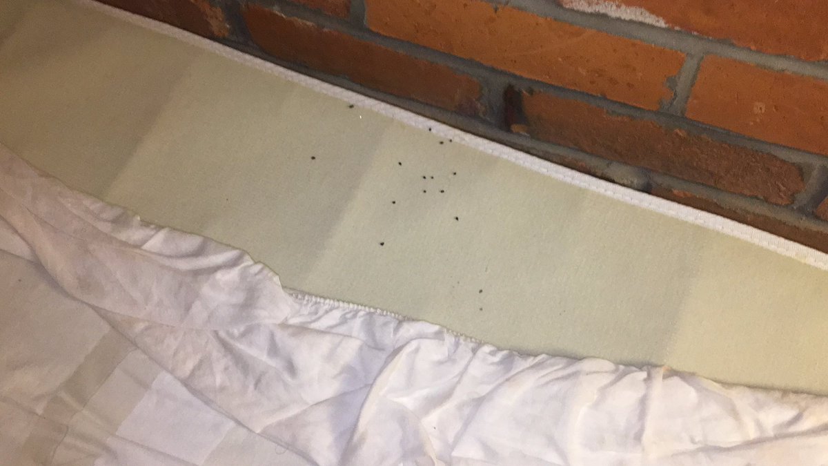 LEKOVISION's tweet photo. Hey @TravelodgeCa @TravelodgeUK @TravelodgeCan, what the hell is this?

Looks like mouse droppings or bed bugs between the mattress and box spring?

Your staff who came to the room to look at it, never apologized and just suggested to use the “other” bed.

What customer service? https://t.co/3v4aQNwL1a