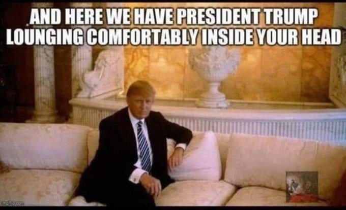 Crash Snodgrass tweet media