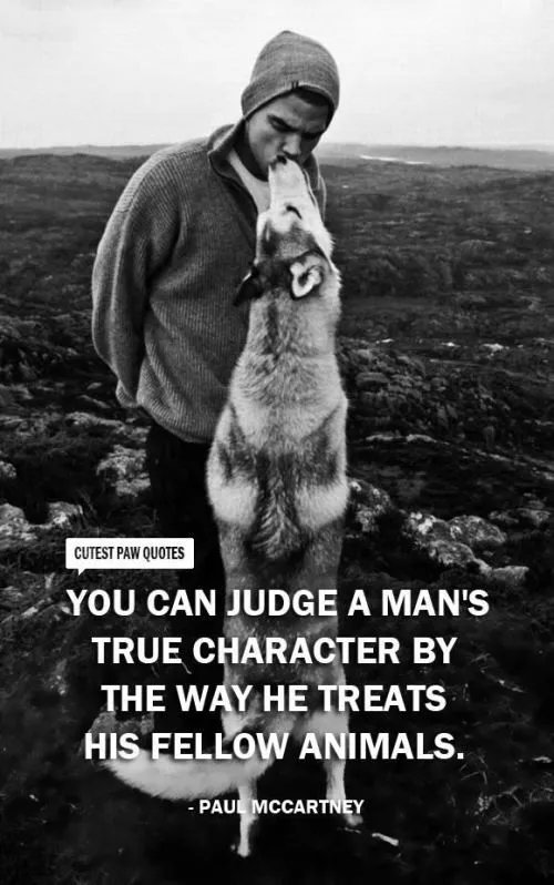 ShadowDogDesign's tweet photo. You can judge a man's true character by the way he treats his fellow #animals - Sir Paul McCartney
#Dogs #Dog #TreatThemRight #BestFriend #GoodDog #DogsAreLove https://t.co/ulTsLIl0KI