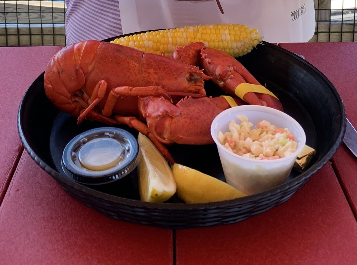 Happy #NationalLobsterDay! How do you like yours? 🦞In #MURDERon thePRECIPICE the first novel in my Elizabeth Pennington #MurderMysterySeries guests of the inn with a dark history enjoy a #clambake on the beach which includes #lobster, corn on the cob, and of course steamers.#yum