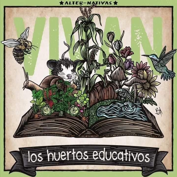 tihui's tweet image. 🫛🍅☀️🥦🌶
Serie de manuales para huertos educativos:

uv.mx/hab/manuales-s…
