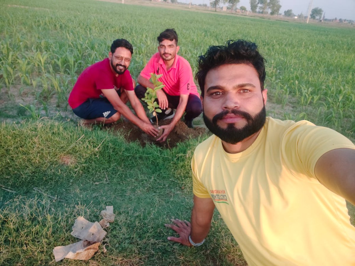 Jassi13831005's tweet photo. Plants life 
At my farm https://t.co/t3ZAaC5DgU