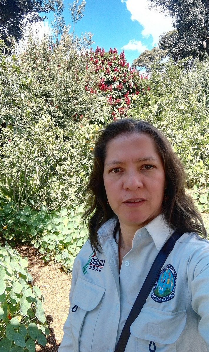 Bióloga. Doctora en Ciencias. Profesora e investigadora titular de tiempo completo de la Universidad de San Carlos de Guatemala. Directora del Instituto de Investigaciones Químicas y Biológicas de la Facultad de Ciencias Químicas y Farmacia, Universidad de San Carlos de Guatemala