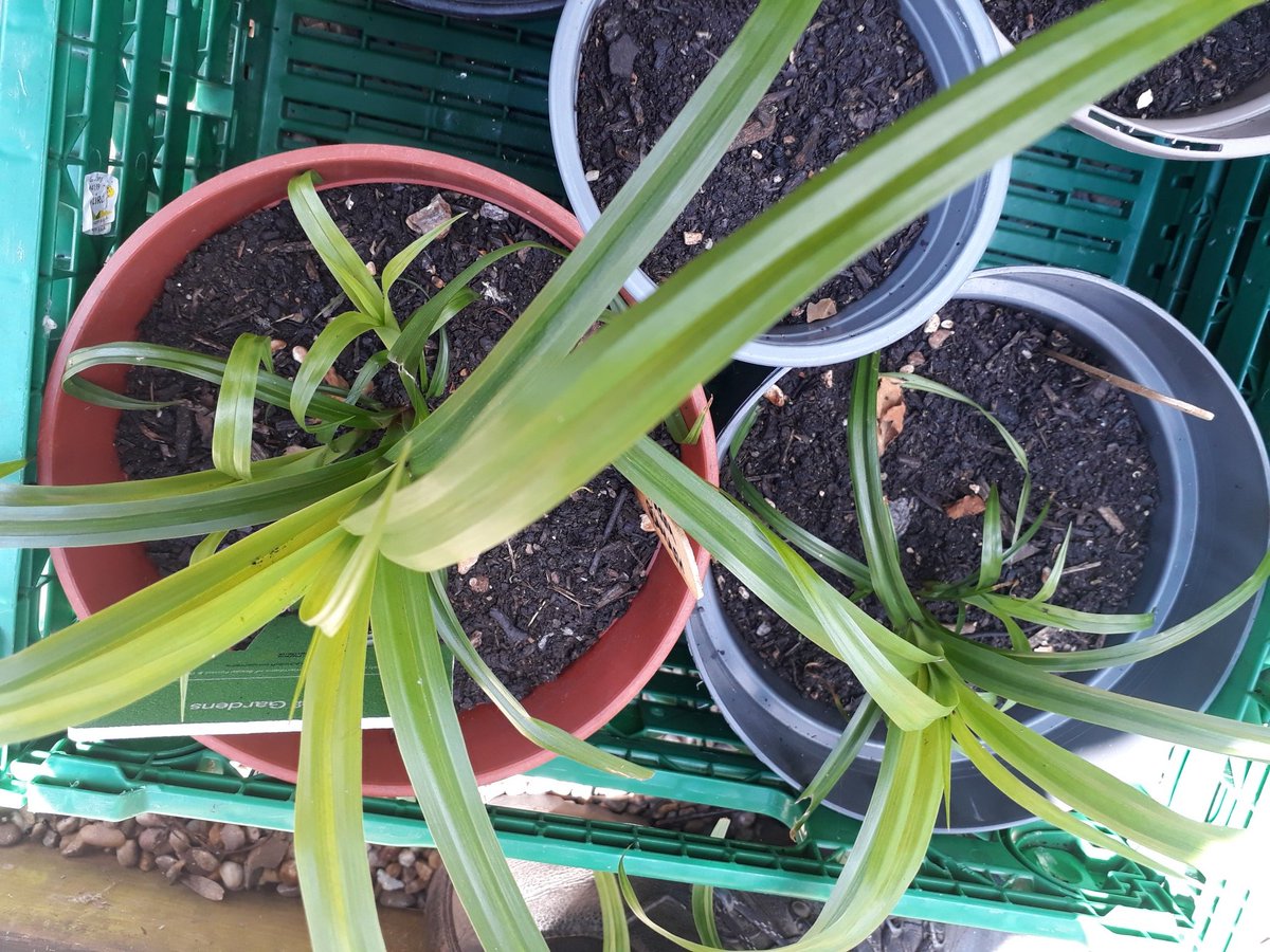 Fruit & Nut Village tweet media