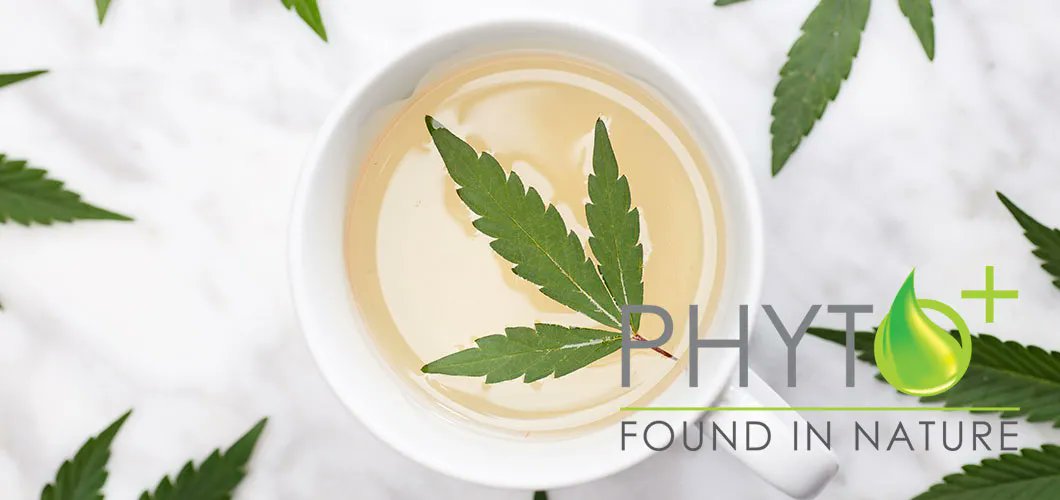 🎉 Big win for #HempIndustry in Europe! After 3 years of effort by EIHA,  cannabis leaves are no longer a 'Novel Food'. The EC has recognized #HempFoodMarket. #Progress! 📷 ...... Read More>>>>> phytopluscbd.com/blog/cannabis-…