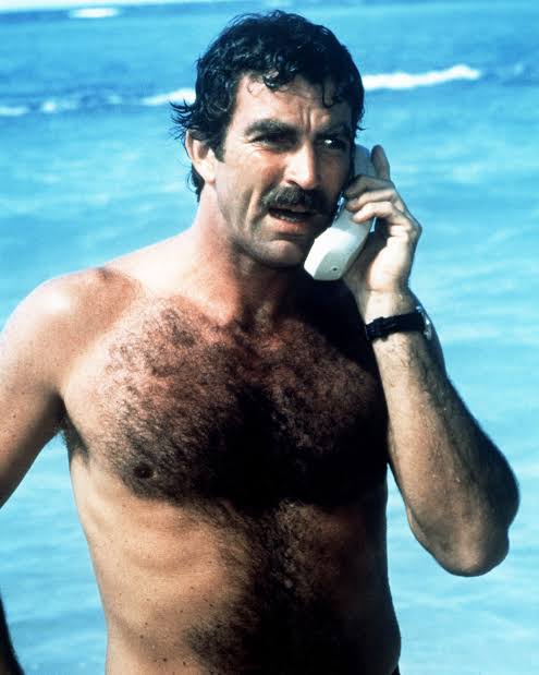 A rainbow shirt in target won’t turn your kids gay but Tom Selleck as Thomas Magnum will. 🌈