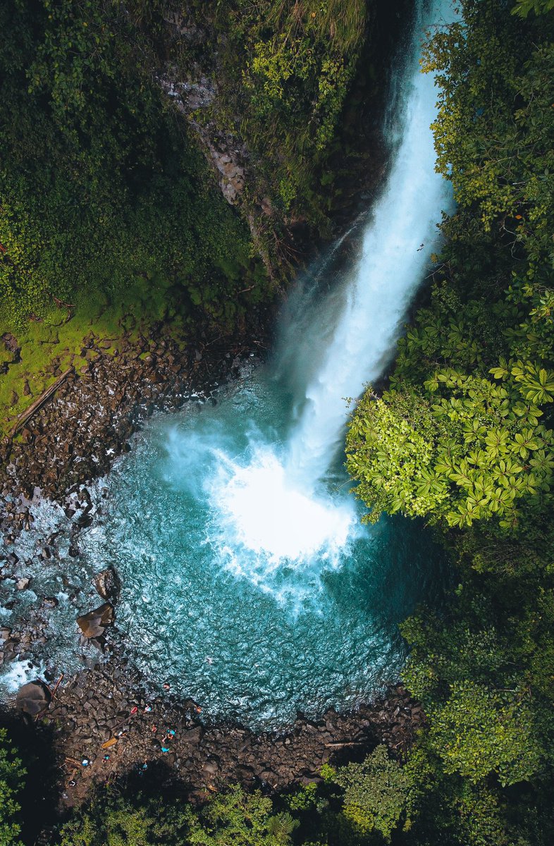 Christian tweet media