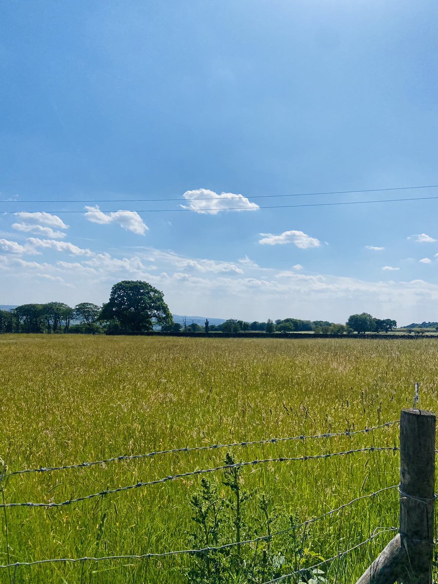 DebbieH93083233's tweet photo. Just one of the many reasons that I love my community nursing job..some of the views at work today ☀️💙#districtnurselife #ribblevalley @DNELHT1 @Cicdivision https://t.co/PICiQPiC4a