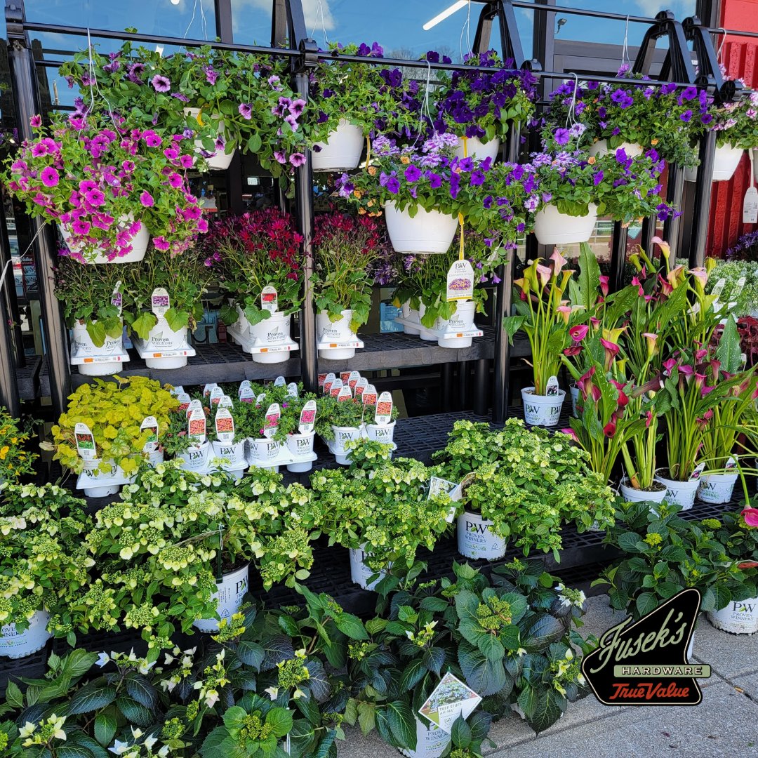 Stop by Fusek's East for live flowers, hanging plants, Tomatoes, and more - available now! 🏡🌱🌼

#FindItAtFuseks 🛠️ 

#indy #downtownindy #indysmallbusiness #loveindy #hangingplants