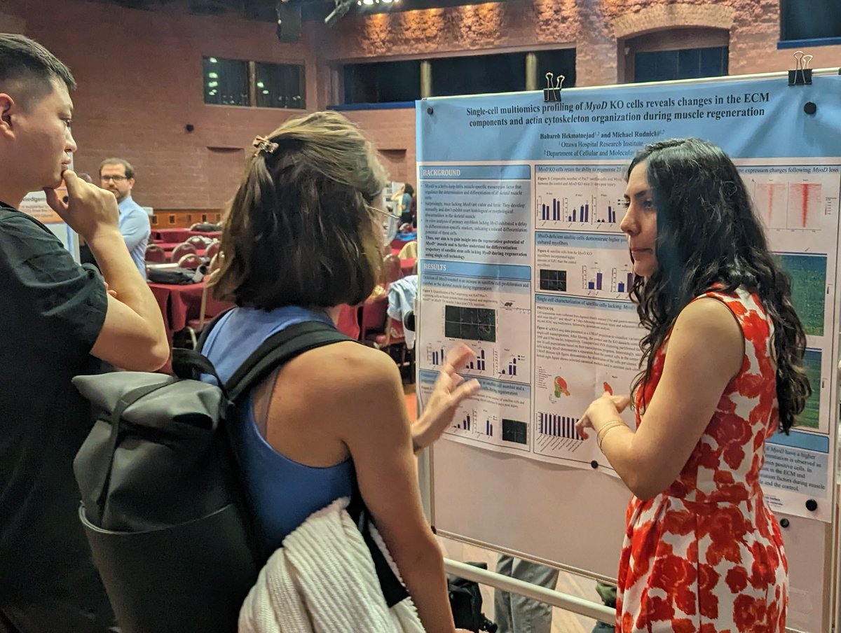 #RudnickiLab in Italy! 🇮🇹
This week, Dr. Bahareh Hekmatnejad (postdoctoral fellow) and John Saber (PhD candidate) have showcased interesting findings from our research at the #MyogenesisGordonResearchConference <a href="/GordonConf/">Gordon Research Conferences</a> <a href="/GordonGrc/">Gordon Myogenesis Conference 2023 (GRC/GRS)</a>