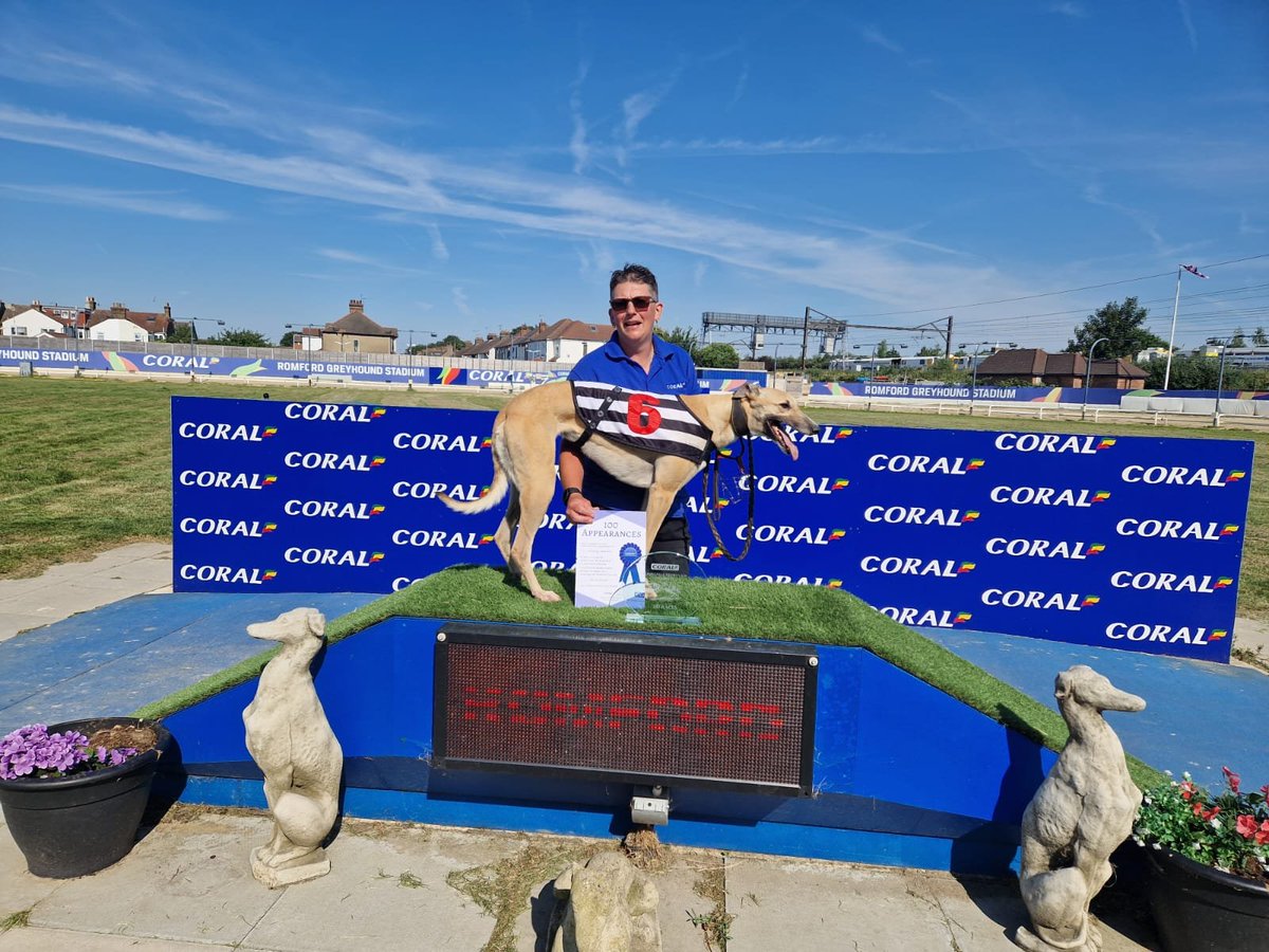 RomfordDogs's tweet photo. 🏆100th Race Runner - Nothing Ventured 🏆
Well done to all connections 👏🏼
#romfordgreyhoundracing #romfordgreyhoundstadium #romfordstadium #100thrace https://t.co/hrlP1YaWQ2