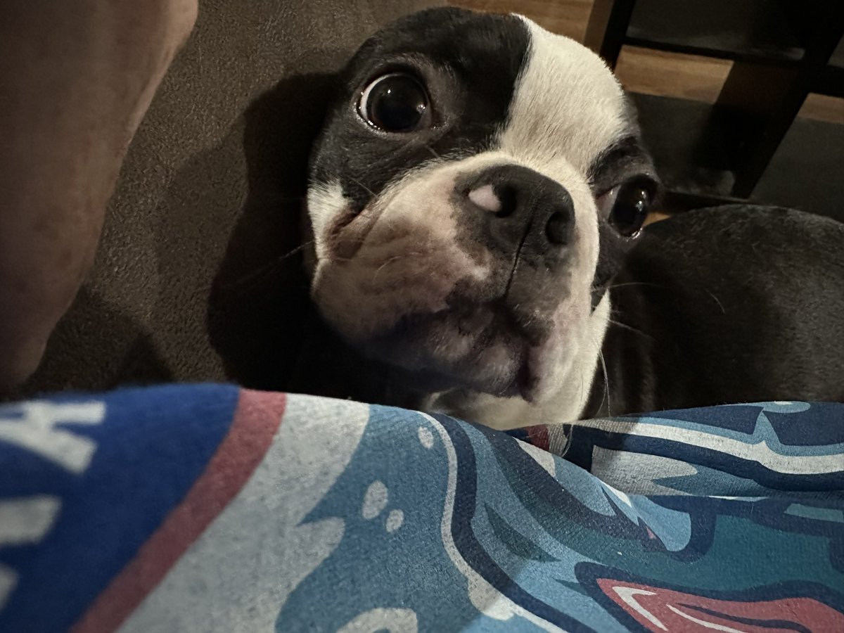 WeskertheBoston's tweet photo. How can you not love this face 😩😩😩 https://t.co/NoQQMoB3kL