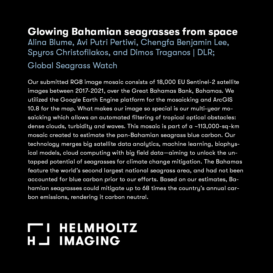 helmholtz_image's tweet photo. It’s time to reveal the winners of our Public Choice Award! Third Place: Alina Blume, Avi Putri Pertiwi, Chengfa Benjamin Lee, Spyros Christofilakos, @Mechovone from @DLR_en &amp; Global Seagrass Watch with “Glowing Bahamian seagrasses from space”!
#HIconference2023 #HIbestimage23 https://t.co/V8nWlDGJAs
