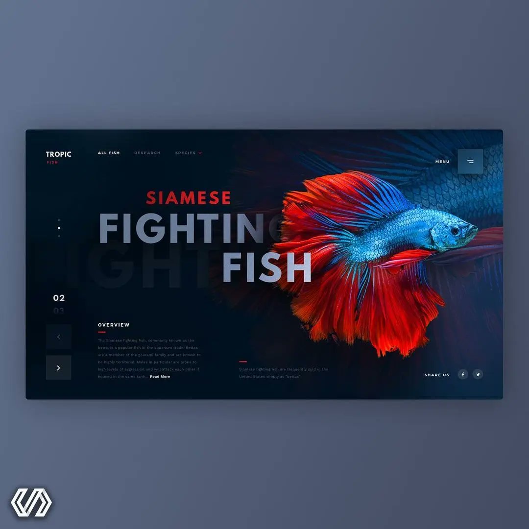 WooshelfTech's tweet image. Which one is your favorite❓

👉Swipe for more inspiration

Follow @WooshelfTech for more☑️

Do you have any work website or mobile application design project? 

Contact us 📌

Created by @dailywebdesign

#websitedevelopment
#webdeveloper #webdesign #webdevelopment #graphicdesign