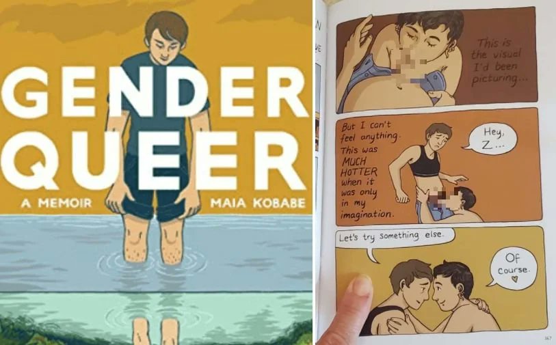 These are images from 'Gender Queer' the book that Illinois Democrats will force into schools or deny the school library funding!! Do you like this being read by your 8 year old?

This would be rated X or at least NC-17 in theaters as a movie

#GenderQueer #BookBans #Illinois