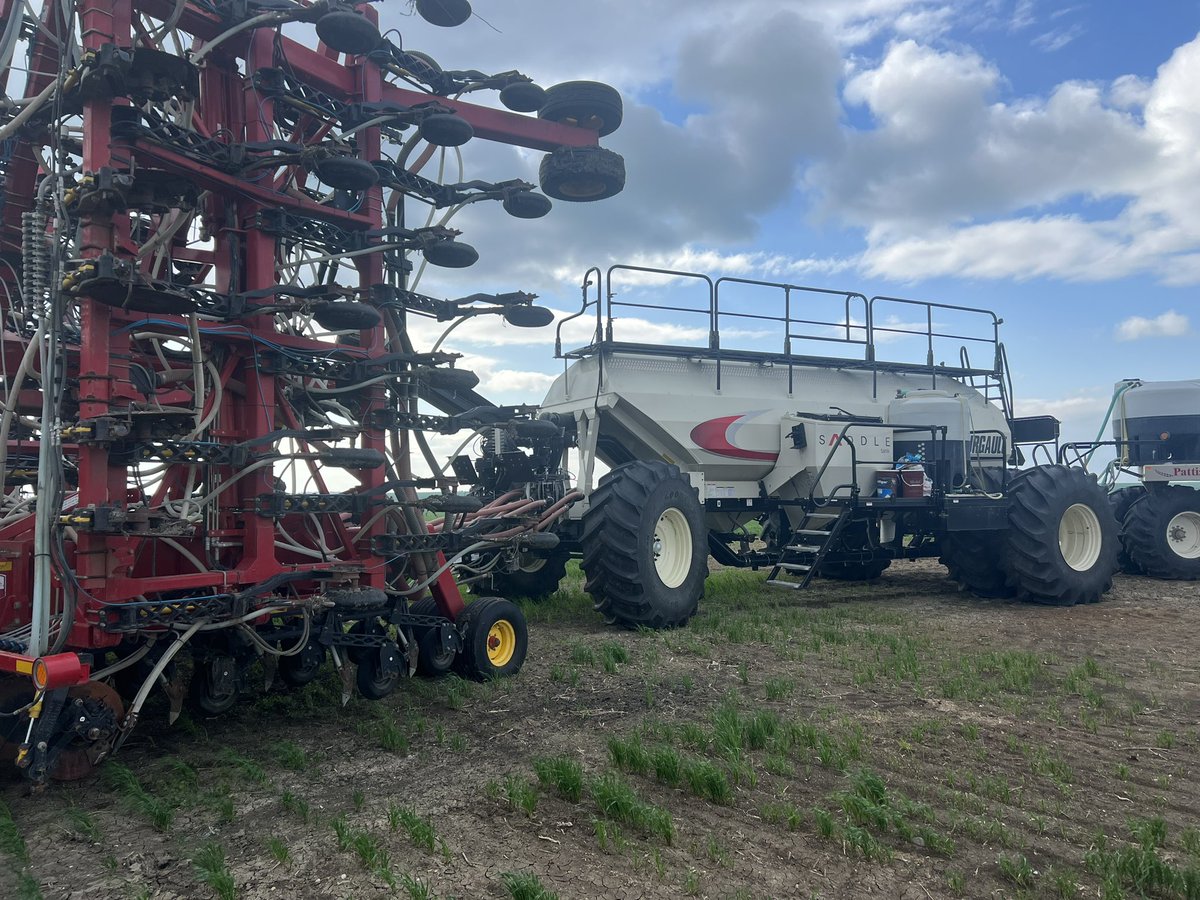 Kevin Sinclair tweet media