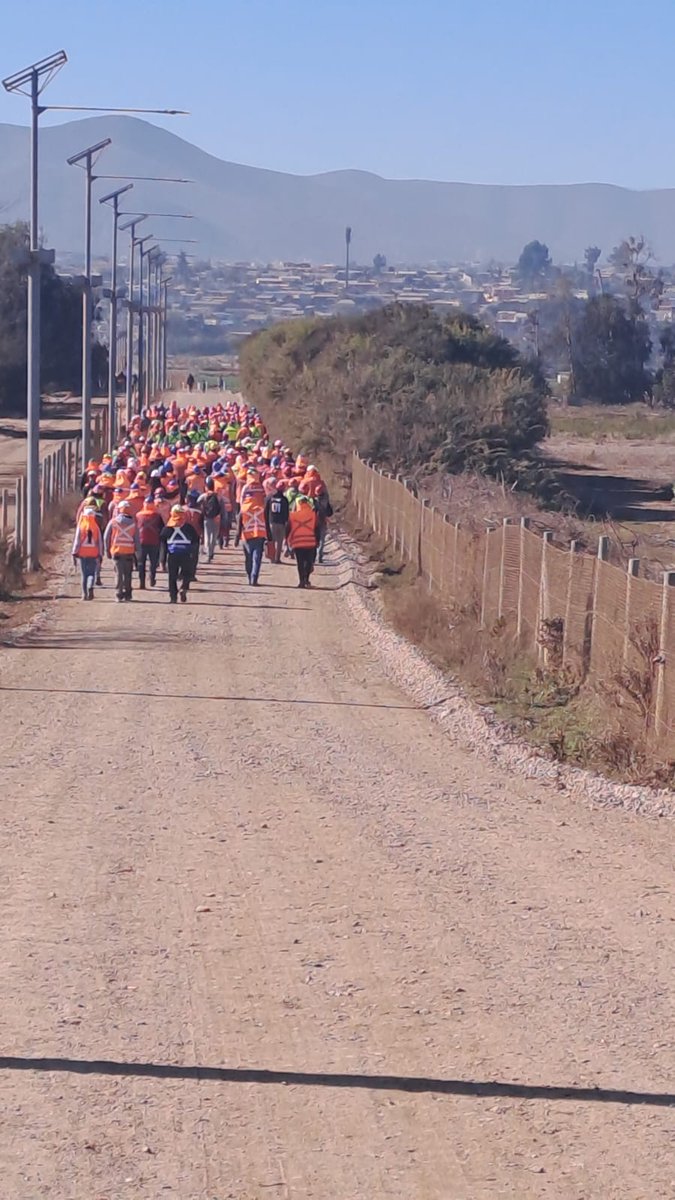 Autoridades regionales evaluaron positivamente el #simulacro de #tsunami con 65.000 personas evacuadas en #LaHiguera #LaSerena #Coquimbo #Ovalle #Canela #LosVilos Ahora se analizarán problemas de las vías de evacuación. Tiempo de llegada: unos 15 minutos a  las zonas de seguridad