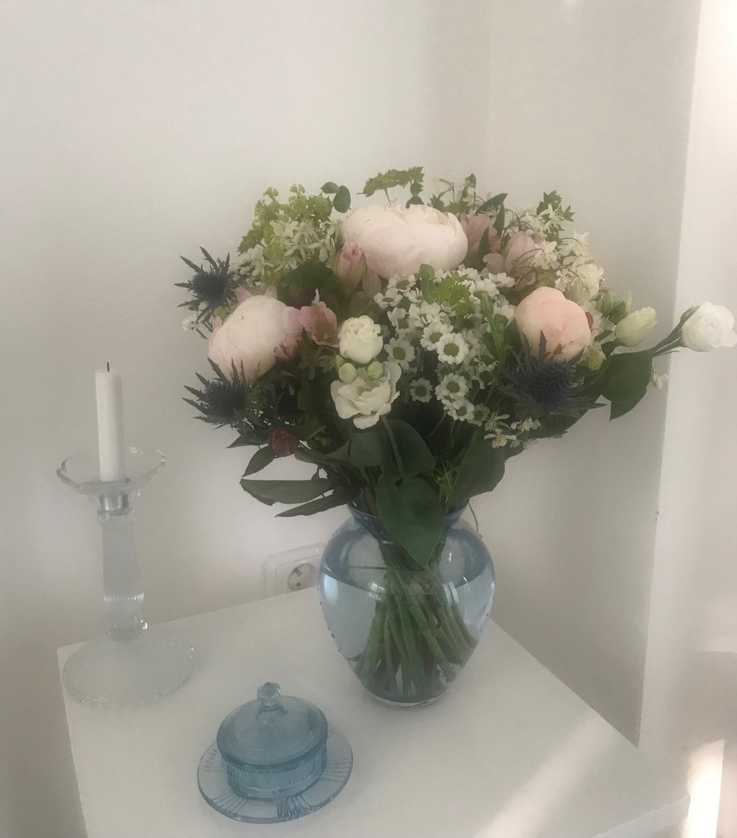 MarketaZapletal's tweet photo. Just beautiful… https://t.co/vEemcJkQoe