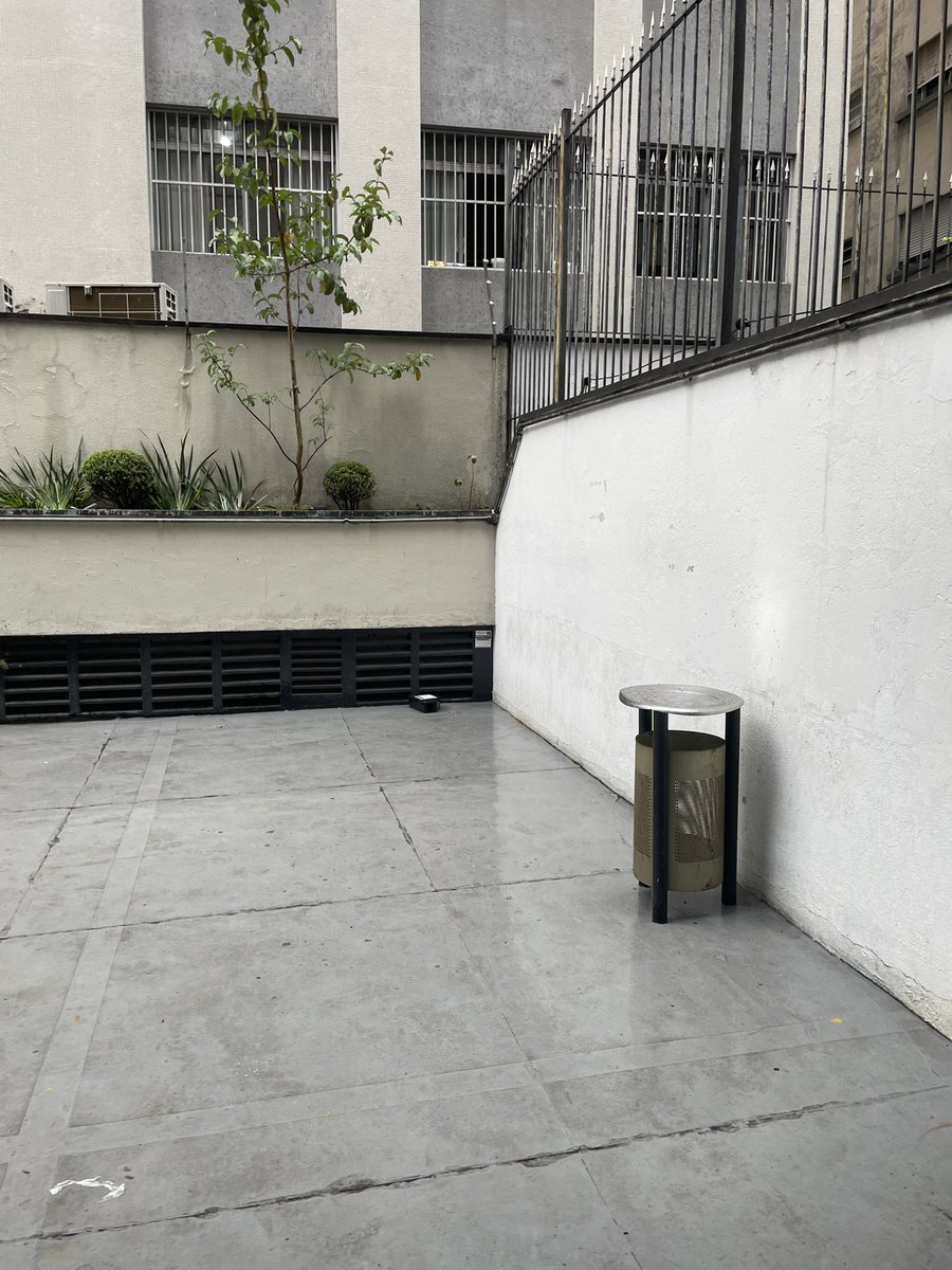 bancofums's tweet photo. dia 8: Não. https://t.co/gT27HV56Fz
