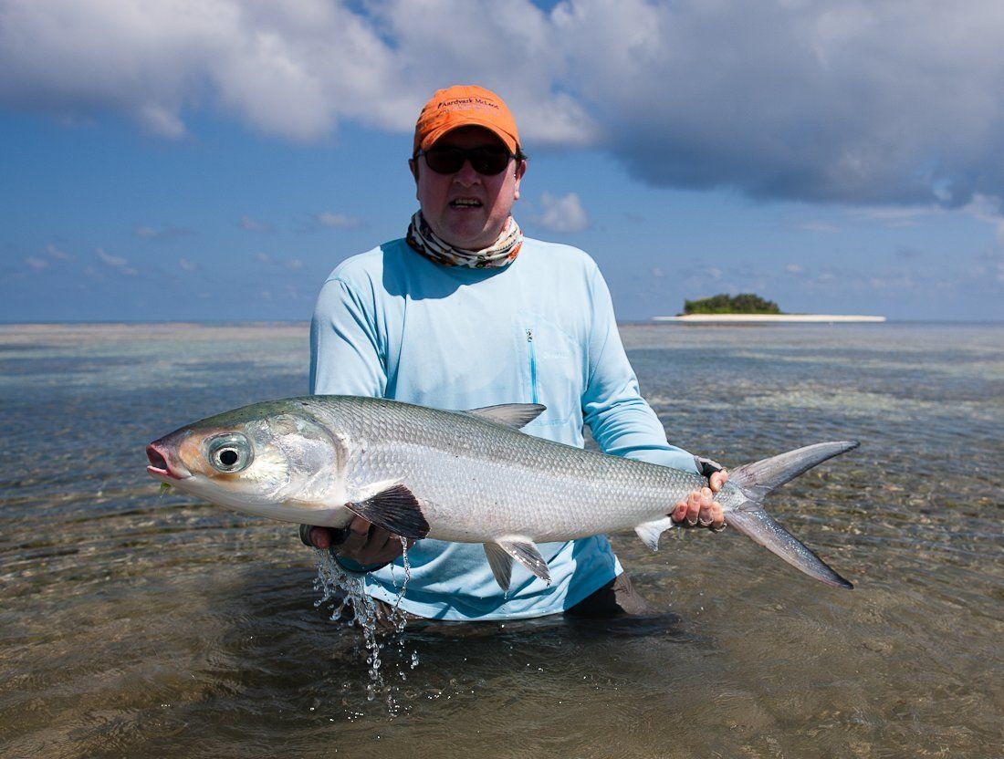 AardvarkMcLeod's tweet photo. There are very few fish species that have the stamina of milkfish. Hooking them is a small part of lading one. It is not uncommon to hook five and land only one if any. https://t.co/woiWAH22uj