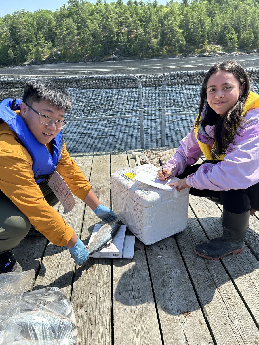 DavidHuyben's tweet photo. The Huyben Lab and Miranda from the @OntAquaResearch visited a fish farm in Parry Sound, Ontario. We sampled rainbow trout and sediment for microbiome composition. Thanks to @ColeMunroFoods and Kana, who is the manager and @uofg alumni, for the great visit. https://t.co/ABpWh7Rgtf