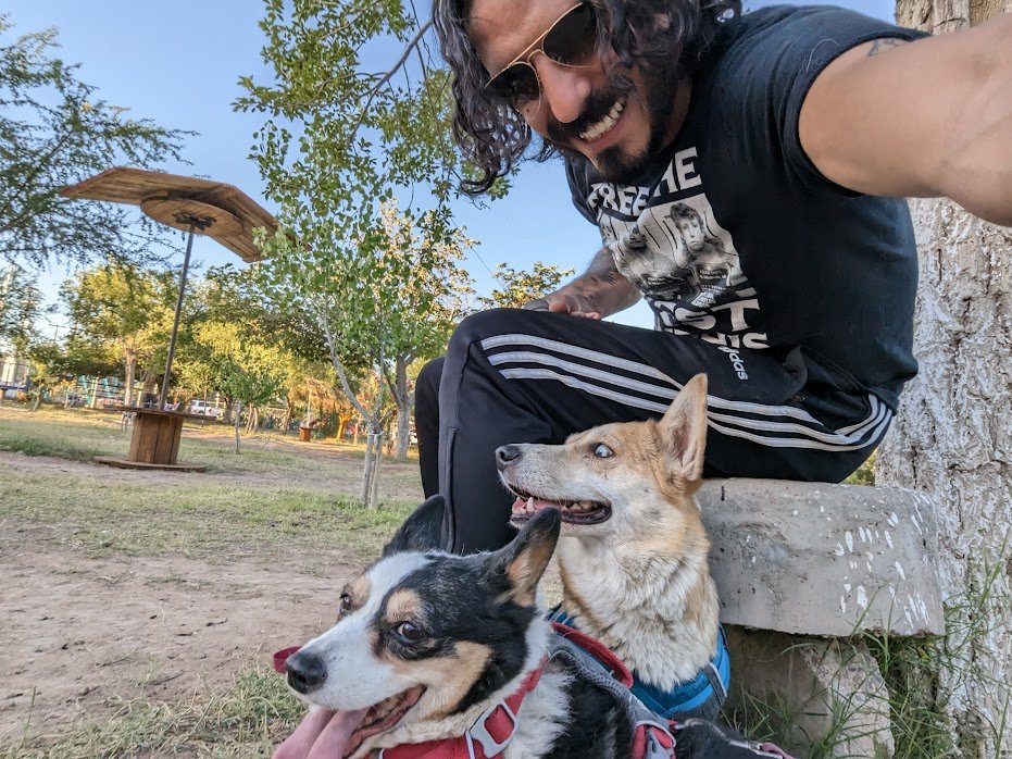 ElBadiablo's tweet photo. 3 sigilos, 3 corgis adoptados. Me rehúso a vivir en una realidad mundana en donde no creyera en la magia. 
Welcome home you magnificent Ziggy Stardog. 
Be weird. https://t.co/RYjQVvftDg