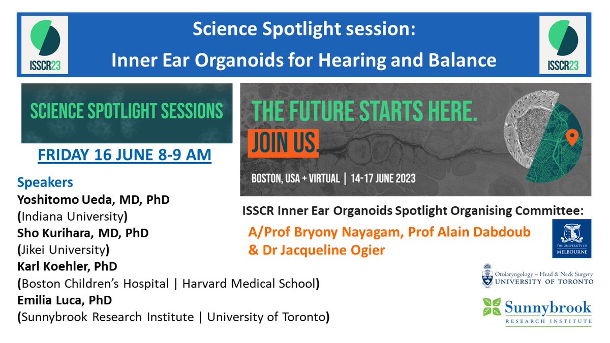 Dabdoub Lab (@labdabdoub) on Twitter photo Tomorrow 8:00 AM Spotlight Session <a href="/ISSCR/">ISSCR</a> “Inner Ear Organoids for Hearing and Balance”. Come hear 4 amazing presentations. #ISSCR2023 <a href="/organoidscience/">Organoid News</a> <a href="/Ariyabry/">Dr Bryony Nayagam (she/her)</a> <a href="/Sunnybrook/">Sunnybrook Health Sciences Centre</a> <a href="/uoftmedicine/">Temerty Medicine</a> <a href="/UofT_LMP/">Department of Laboratory Medicine & Pathobiology</a> <a href="/STEMCELLTech/">STEMCELL Technologies</a> Tomorrow 8:00 AM Spotlight Session <a href="/ISSCR/">ISSCR</a> “Inner Ear Organoids for Hearing and Balance”. Come hear 4 amazing presentations. #ISSCR2023 <a href="/organoidscience/">Organoid News</a> <a href="/Ariyabry/">Dr Bryony Nayagam (she/her)</a> <a href="/Sunnybrook/">Sunnybrook Health Sciences Centre</a> <a href="/uoftmedicine/">Temerty Medicine</a> <a href="/UofT_LMP/">Department of Laboratory Medicine & Pathobiology</a> <a href="/STEMCELLTech/">STEMCELL Technologies</a>