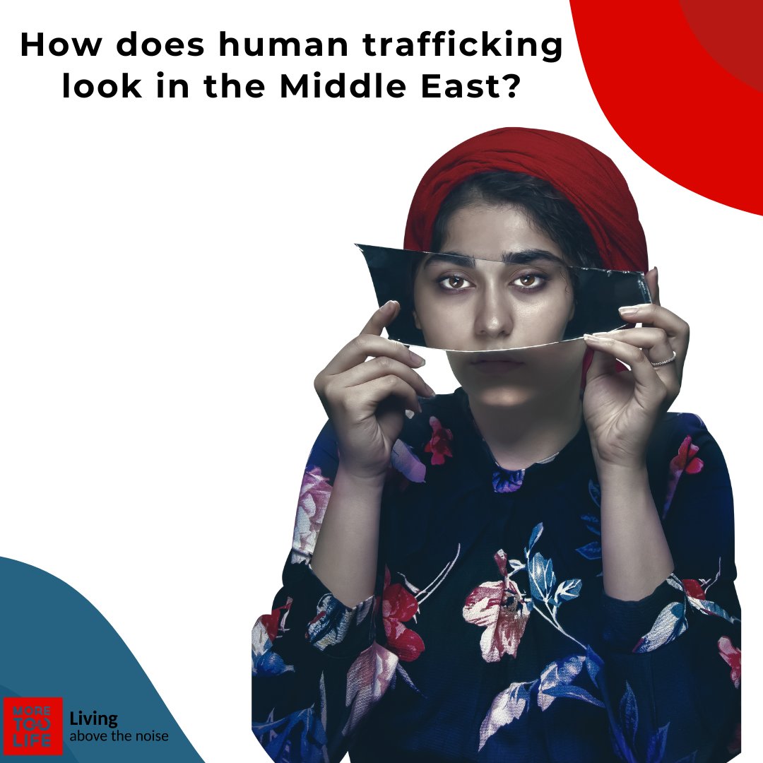 @realmoretoolife tweet media