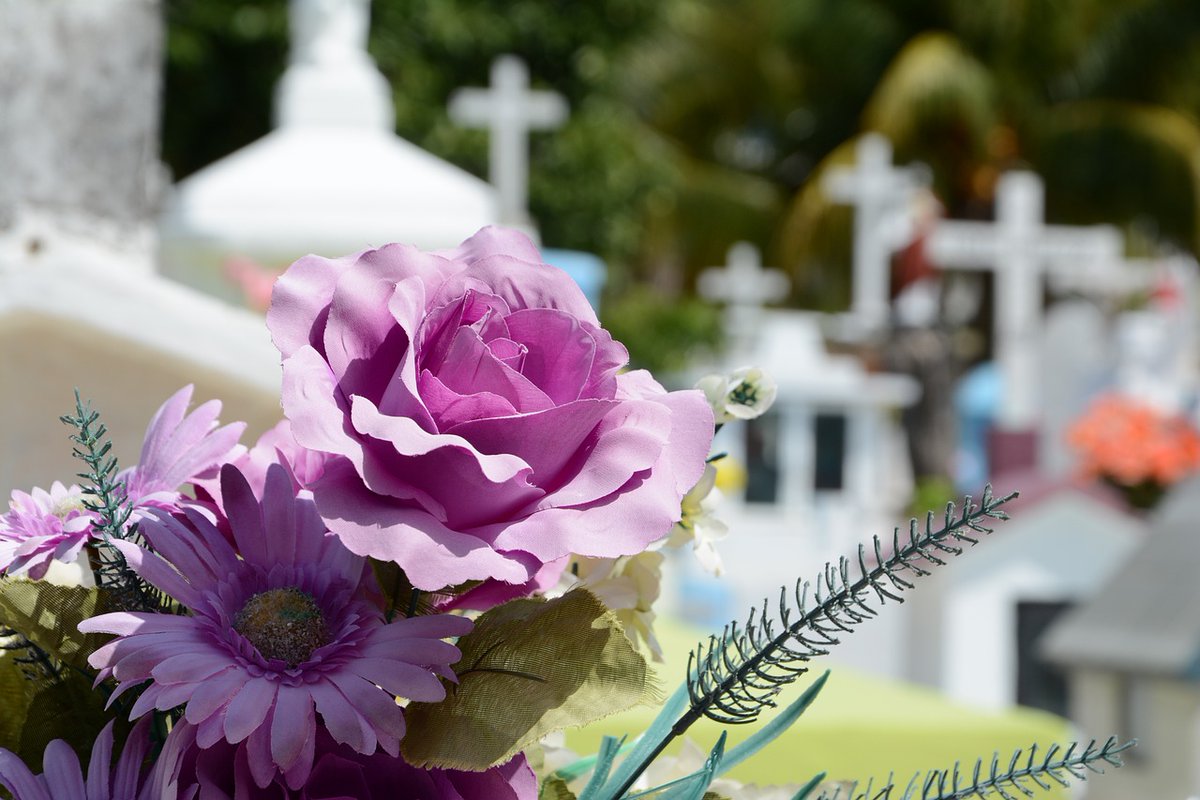 BasicFunerals's tweet photo. Saying goodbye to a loved one doesn't have to burden you financially. At Basic Funerals, we offer low-cost options without compromising on the quality of service. https://t.co/5th0ZcIYuu https://t.co/zUwazOD9UG