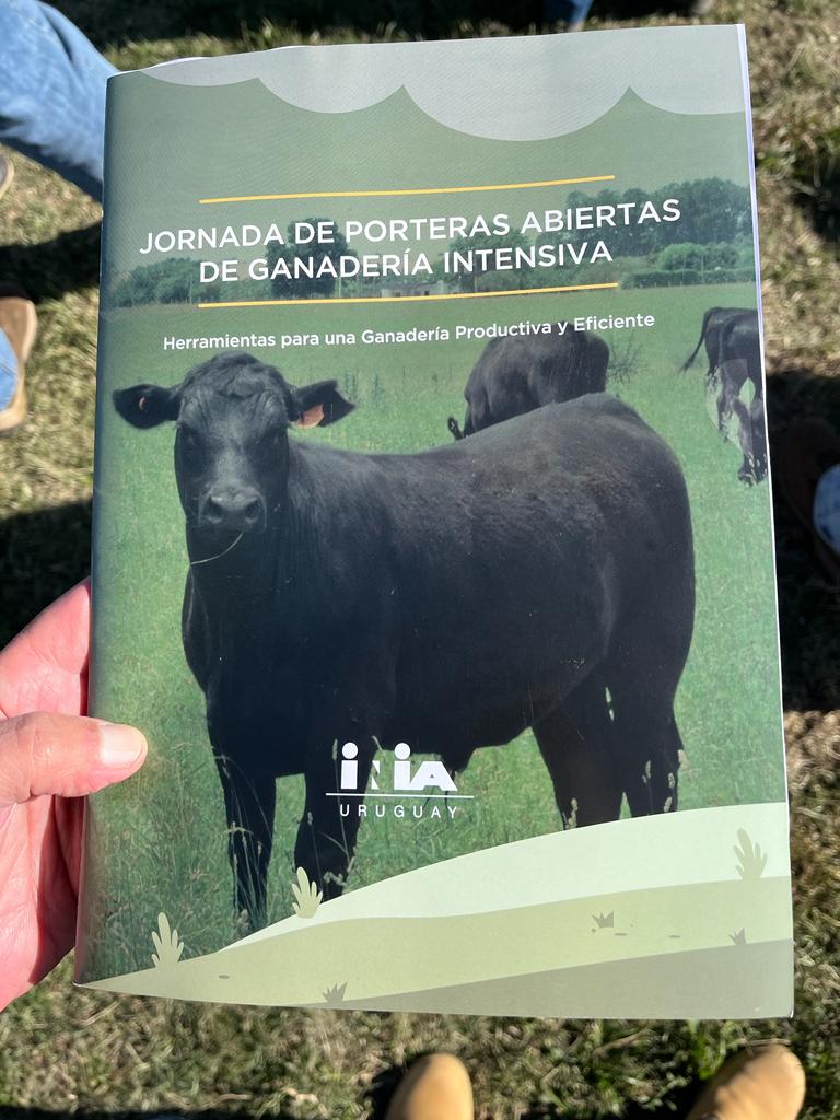 Angus Uruguay tweet media