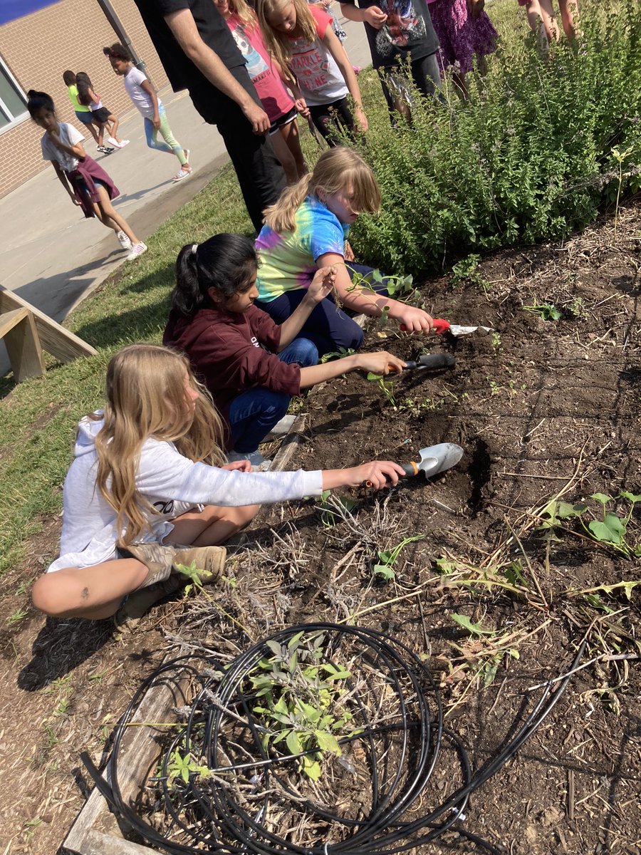 5th grade had fun planting with @ColumbiaUrbanAg this morning at EBE. We also got to sample some things that are already growing. Yum! 😋 #cpsbest #scholarsfirst #PrairieProud