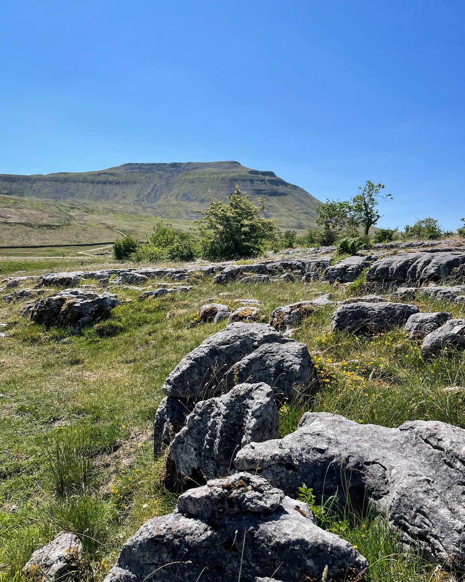 One from yesterday’s 14.7 mile circular route which included the summits of Whernside, Ingleborough, Simon Fell & Park Fell.

📍- photo taken on the approach to Ingleborough from Chapel-le-Dale.

#YorkshireDales #ingleborough #ingleton #hiking #yorkshire #getoutside #mountains