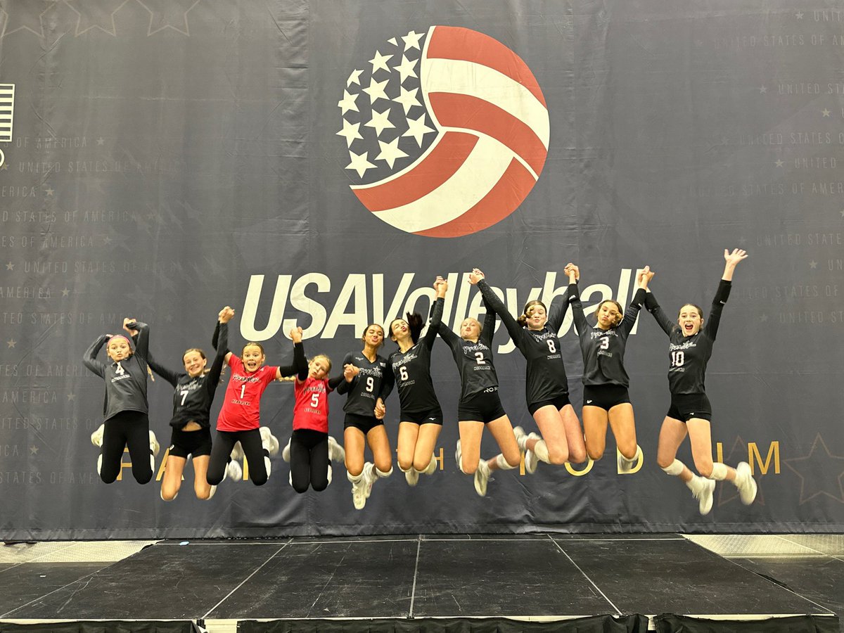 Premier 12 Gold tweet media