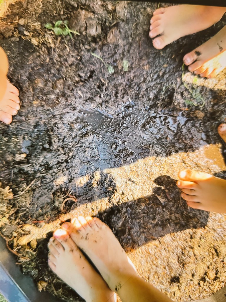 EYFSatStPhilips's tweet photo. We went on a bear hunt in Nursery today. The children had a wonderful time walking barefoot through the grass, squelching through the mud and splashing in the water. #sensoryexperience #wearegoingonabearhunt #bringingstoriesalive @bbcstories @bearhuntlive @STPHILIPSCE @WeAreBDAT https://t.co/LmEWXnhYhA