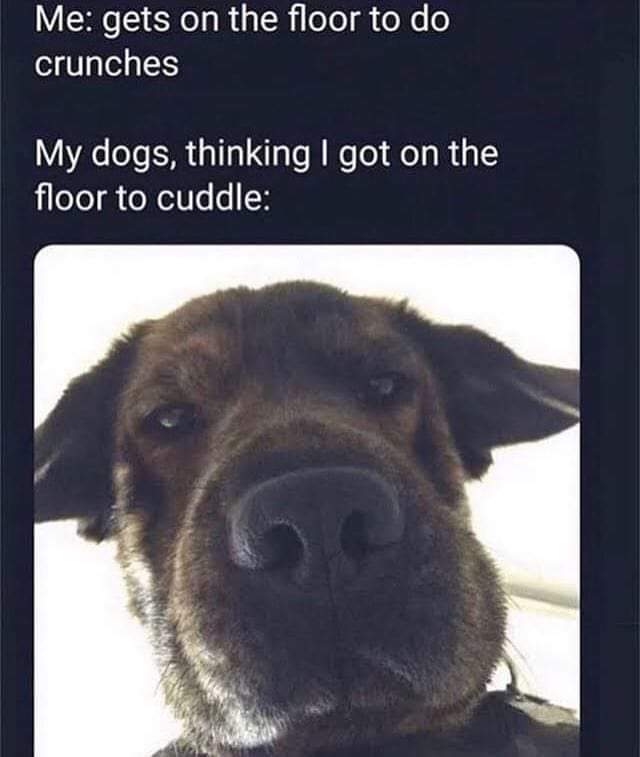 WholesomeMeme's tweet photo. https://t.co/APeGWWnHzS
