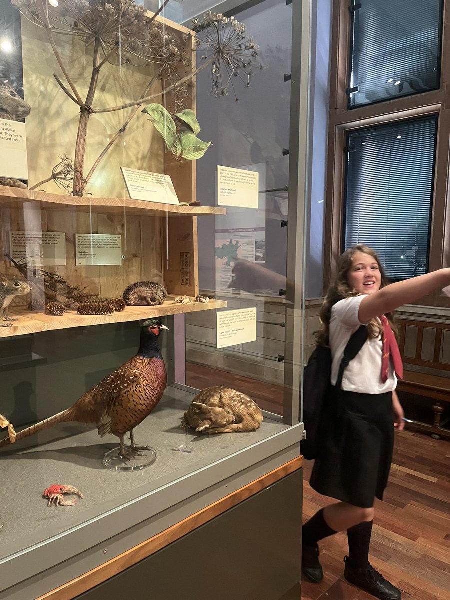 Braehead Primary School & ELCC on Twitter "Exploring Kelvingrove Art