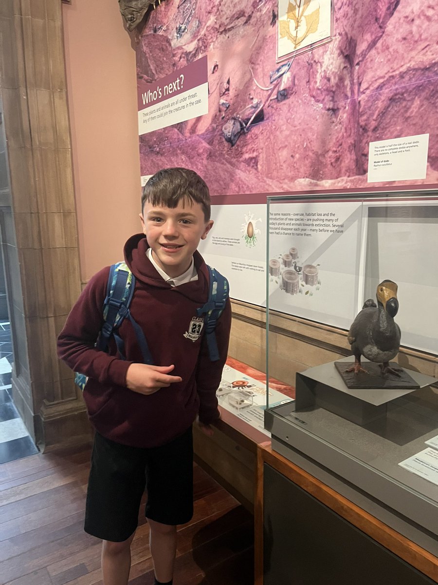 Braehead Primary School & ELCC on Twitter "Exploring Kelvingrove Art