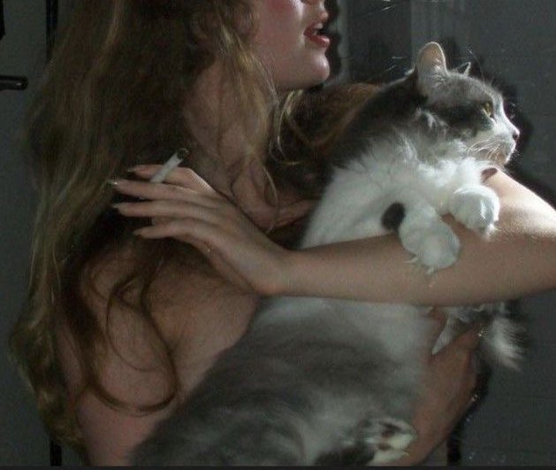 ⋅ꫂ ၴႅၴ. (@theholykiss) on Twitter photo 